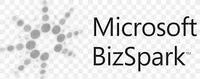 bizspark